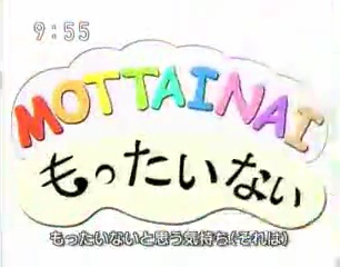 Mottainai