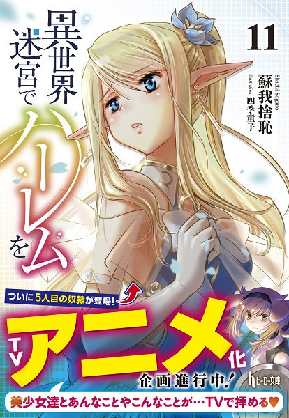 Isekai Meikyuu de Harem wo