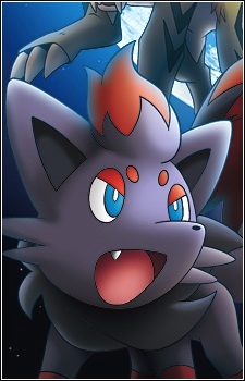 Zorua