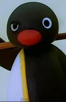 Pingu